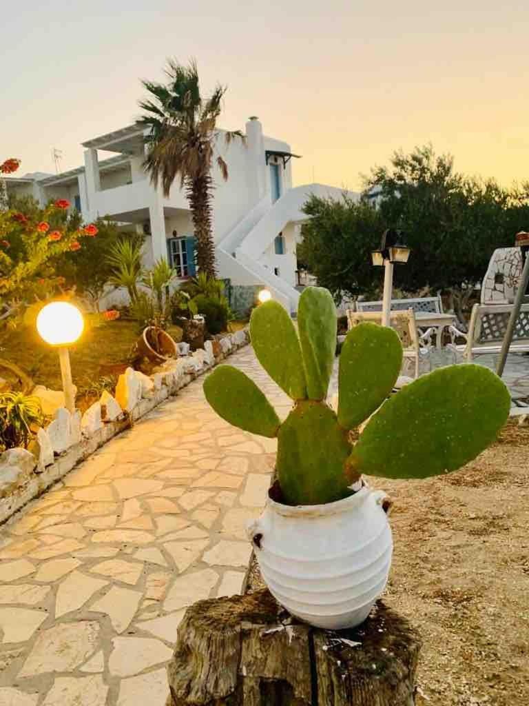 Stavros Studios Logaras Ngoại thất bức ảnh