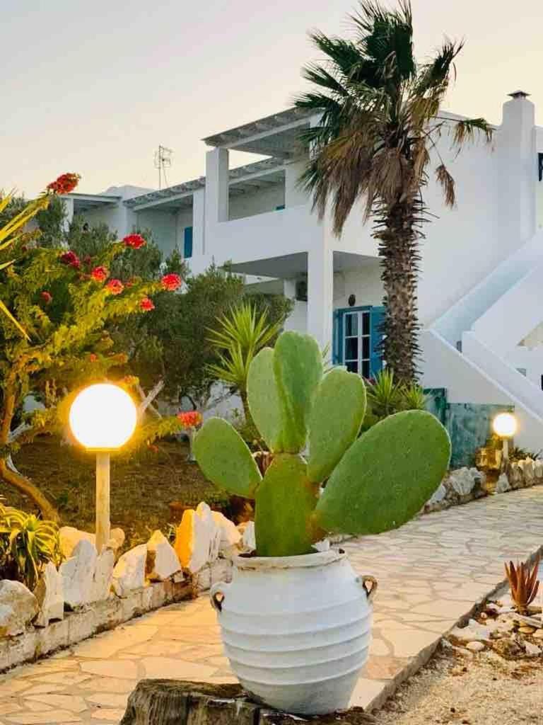 Stavros Studios Logaras Ngoại thất bức ảnh